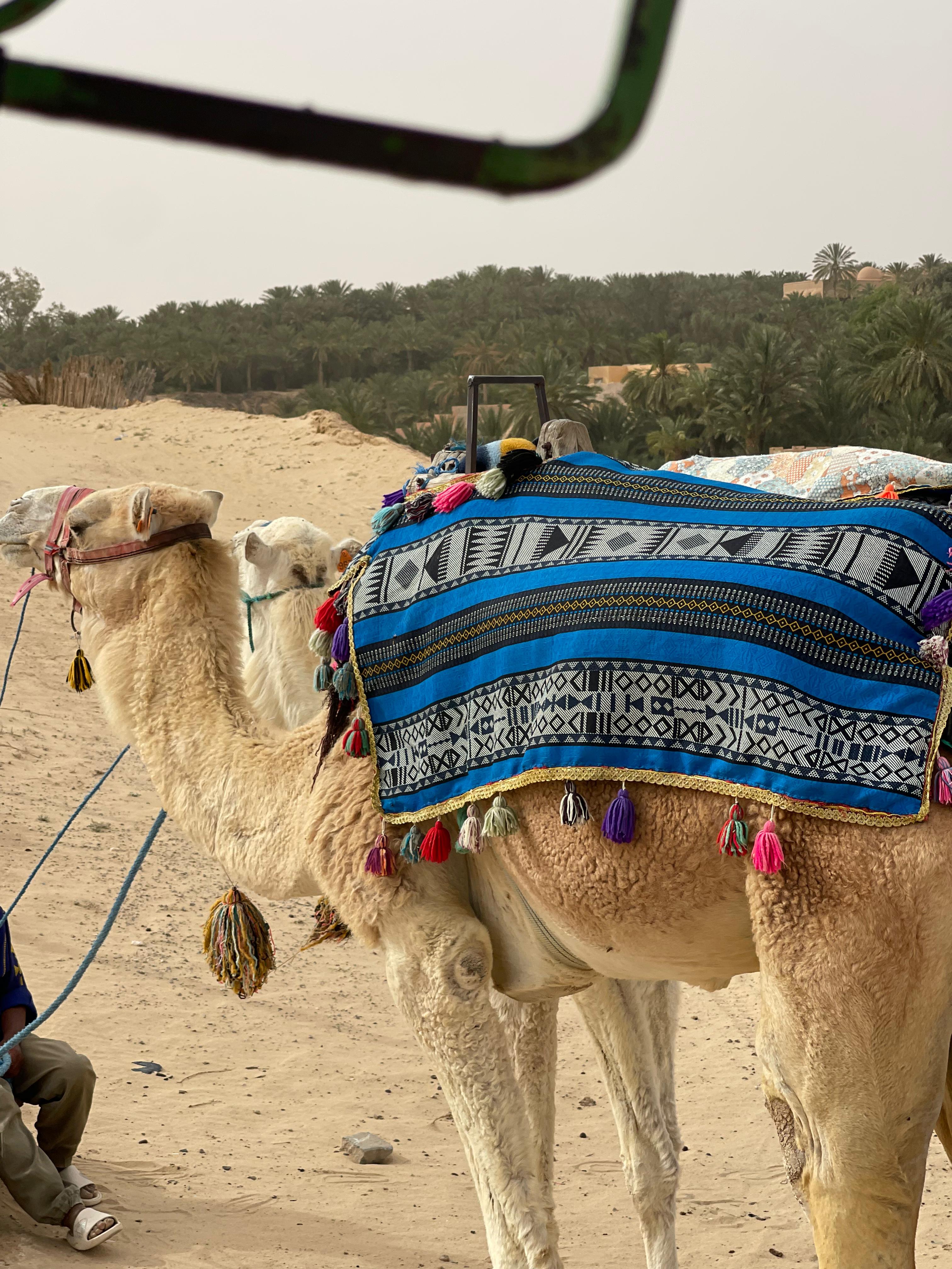 Tunisie Photo 1